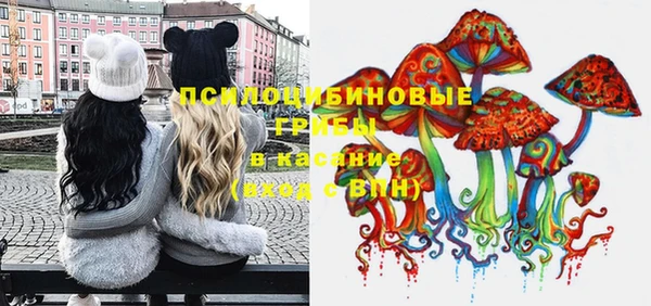 ГАЛЛЮЦИНОГЕННЫЕ ГРИБЫ Вязники