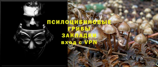 apvp Вяземский