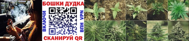 Купить  Нелидово  Конопля MAZAR 